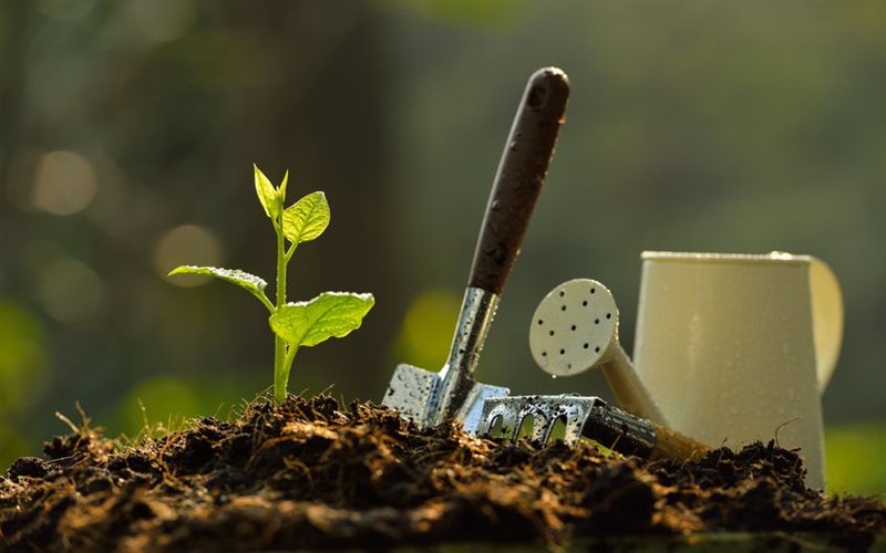 Toutes les cendres ne sont pas bonnes à répandre dans le jardin